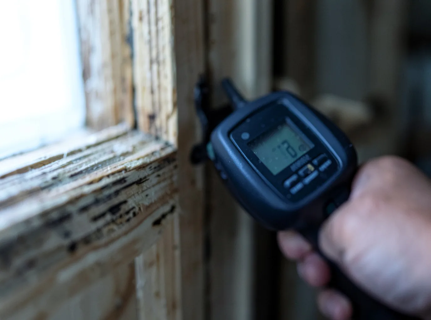 Commercial Water Damage Restoration in Royalston, MA